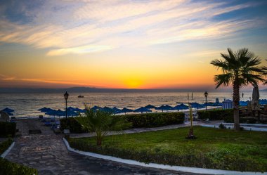 Denizin üzerinde şafak sök. Palmiye ağaçlarının silueti