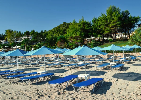 Plage. Parapluies et chaises longues sans personnes. Arbres verts en arrière-plan Grèce. Kassandra. Halkidiki — Photo