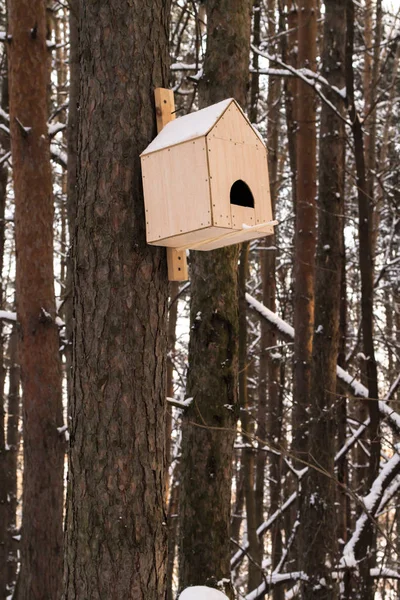 Dřevěný holubník, visící na stromě v zimě — Stock fotografie