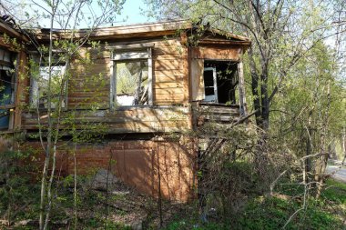 Rusya'da terk edilmiş ve yıkılmış bir kütük evi. Ormanın ortasında terk edilmiş ev