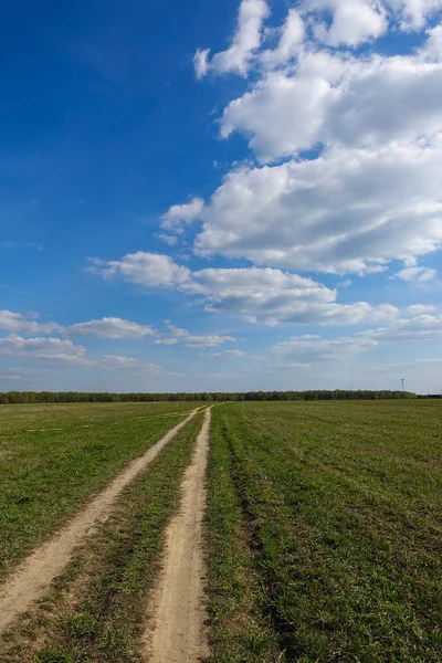 Green field with country road, and blue sky with clouds. Beautiful rural landscape