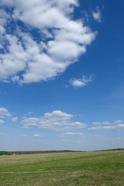 Green field and blue sky with clouds. Beautiful landscape. — Stock Photo, Image