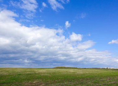 Manzara bulutlu gökyüzü ve yeşil alan. Rusya.