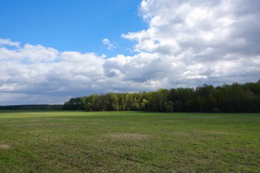 Manzara bulutlu gökyüzü ve yeşil alan. Rusya.