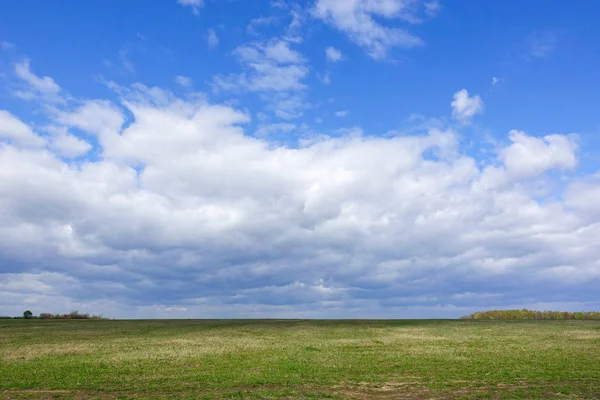 Manzara bulutlu gökyüzü ve yeşil alan. Rusya.