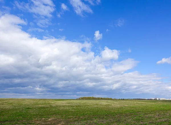 Manzara bulutlu gökyüzü ve yeşil alan. Rusya.