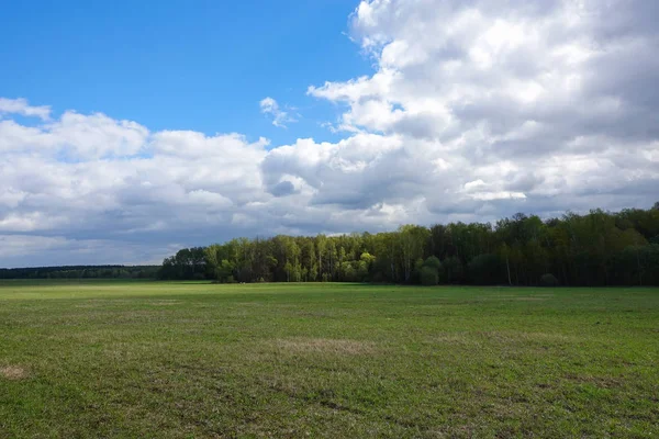 Manzara bulutlu gökyüzü ve yeşil alan. Rusya.