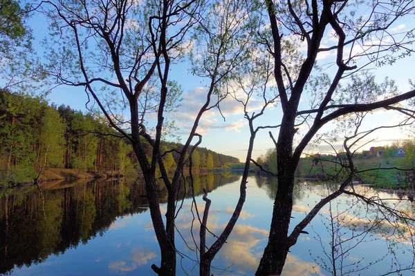 Wunderschöner Sonnenuntergang am Waldsee. Wolken spiegeln sich im Wasser. — Stockfoto