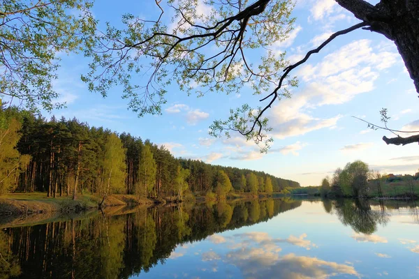 Wunderschöner Sonnenuntergang am Waldsee. Wolken spiegeln sich im Wasser. — Stockfoto