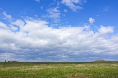 Manzara bulutlu gökyüzü ve yeşil alan. Rusya.