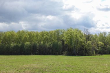 Ufukta orman yolu. Yeşil alan ve bulutlu gökyüzü. Doğal tasarım.