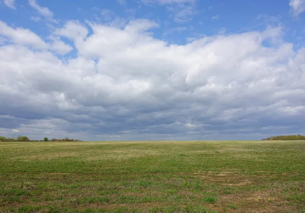 Landscape cloudy sky and green field. Russia. — Stock Photo, Image