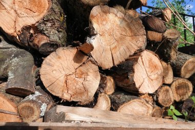 Günlük. Kütük kesikleri. Günlük yığını. Odun yığını. Şömine için hazırlanan kütükler kesikler. Woodpile' ı. Şömine için odun. Kış için odun. Yakacak odun arka plan.