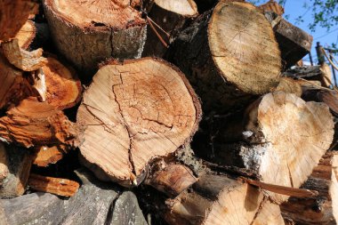 Günlük. Kütük kesikleri. Günlük yığını. Odun yığını. Şömine için hazırlanan kütükler kesikler. Woodpile' ı. Şömine için odun. Kış için odun. Yakacak odun arka plan.