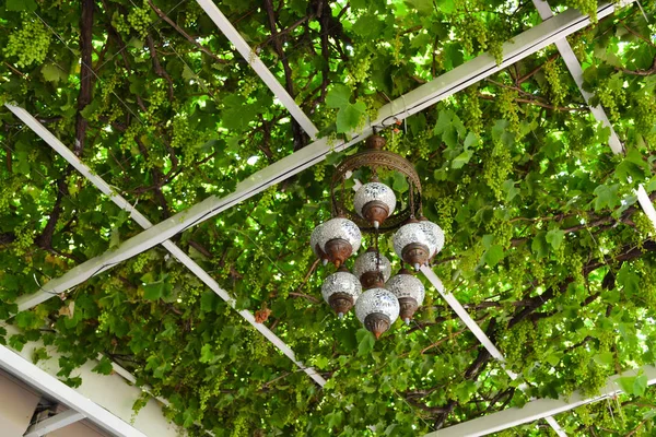 Lâmpadas decorativas turcas para venda na janela da loja de lembranças — Fotografia de Stock