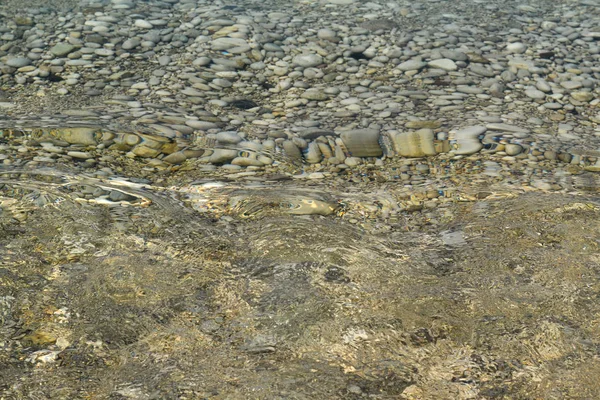 Pedras marinhas na água do mar. Pedrinhas debaixo de água. A vista de cima. Fundo náutico. Água do mar limpa. Mar transparente. — Fotografia de Stock