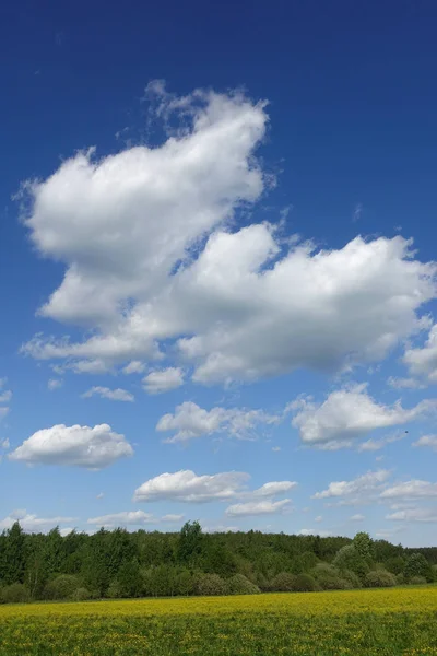 Ciel bleu et beau nuage. Paysage plaine fond pour affiche d'été. La meilleure vue pour les vacances . — Photo