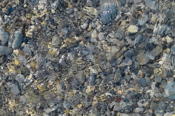 Små stenar och våt sand på havet stranden; vattenlinjen. Lugnt transparent vatten. — Stockfoto