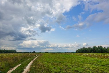 Bir ülke yolu ve bulutlar ile gökyüzü ile yeşil alan. Rusya