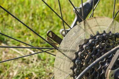 Bir kriket bisiklet tekerleğinin sözcülerinin üzerinde oturur. Close