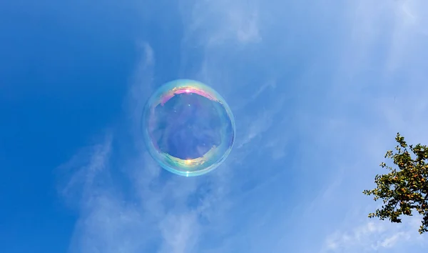 Big soap bubble. The concept of a happy life. against the blue sky