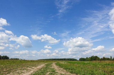 Kır yolu ve yeşil çimen ve bulut gökyüzü. Rusya
