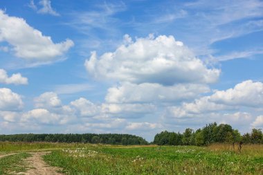Kır yolu ve yeşil çimen ve bulut gökyüzü. Rusya