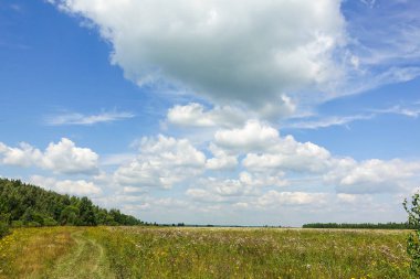 Güzel kırsal manzara. Yeşil alan ve bulutlarla mavi gökyüzü.