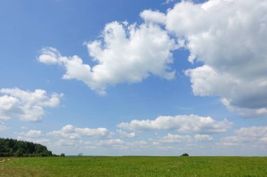 Mavi gökyüzü ve çayır ağacı ile güzel bulut. Yaz afişi için düz peyzaj arka plan. Tatil için en iyi görünüm.