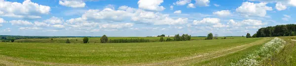 Panorama. schöne Landschaft. grüne Wiese mit Wolken. Russland — Stockfoto