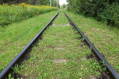 Çimlerin arasında terk edilmiş eski bir demiryolu. Rusya