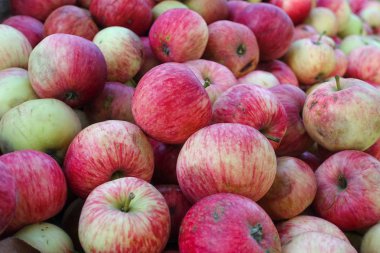 Kırmızı ev yapımı bahçe elma arka plan