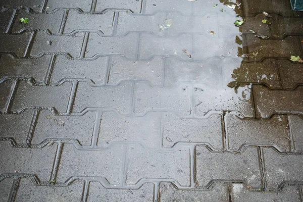 Patio pavimentación losa en tiempo lluvioso. Puddle en una losa de pavimentación — Foto de Stock