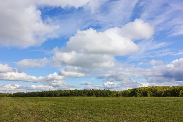 Green field and sky with clouds. Beautiful landscape — Stock Photo, Image