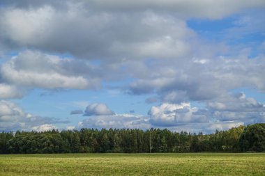 Tarlanın üzerine yağmur bulutları yağıyor. Sonbahar manzarası. Rusya