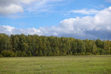 Güzel kırsal manzara. Yeşil alan ve bulutlarla mavi gökyüzü.