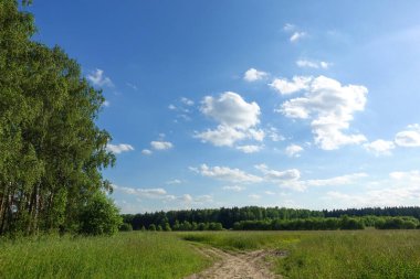 Güzel yaz manzarası. Bulutlu mavi gökyüzü. Yeşil çimenli tarla
