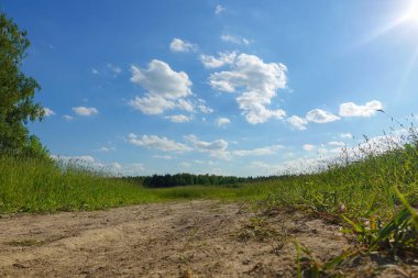 Güzel yaz manzarası. Bulutlu mavi gökyüzü. Yeşil çimenli tarla