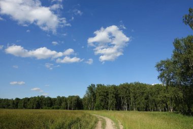 Güzel yaz manzarası. Bulutlu mavi gökyüzü. Yeşil çimenli tarla