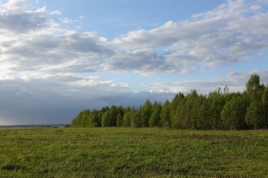 Bahar çiçekleri ve mükemmel gökyüzü.