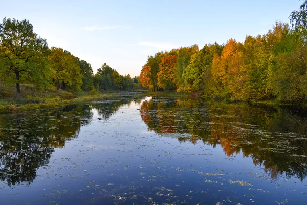 Красивый Осенний День Фото