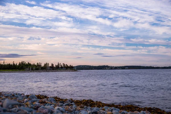 Prachtige Kust Van Het Meer Opvallend Water Groen Bos — Stockfoto