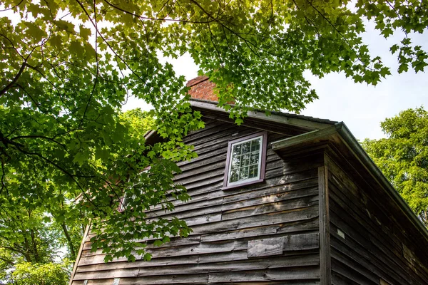 Old wooden house. Historical home. Cabin in forest. Sunny day. heritage home.