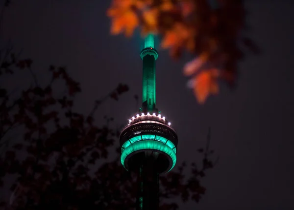 Torre Las Luces Nocturnas Hojas Arce Otoño Canadá Toronto — Foto de Stock