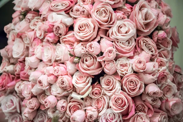 Roses wall background. Nature, fresh pink wedding flowers. Soft tone