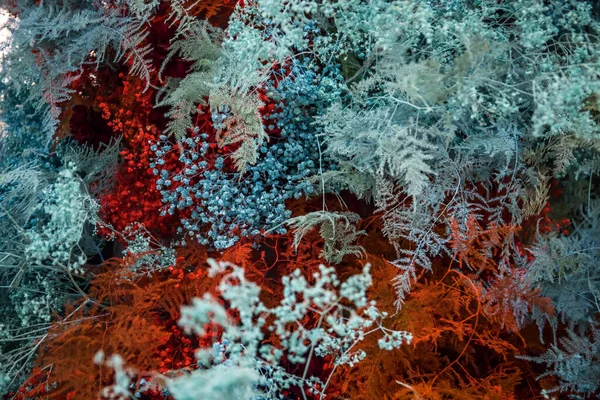 farklı renk çiçeklerin arka planı. Doğa soyut. Mavi, kırmızı ve turuncu