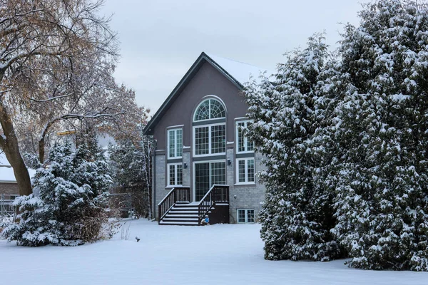 漂亮的冬宫下雪的天气 圣诞节期间 — 图库照片