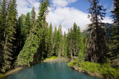 Doğa duvar kağıtları. Dağ ormanı, mavi su nehri, bulutlu gökyüzü. Banff Ulusal Parkı, Kanada