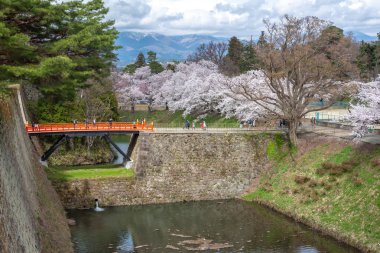 Sakura Tsuruga-jo Kalesi