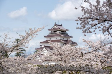 Sakura Tsuruga-jo Kalesi